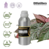 Betel (Red) / Sirih Merah Essential Oil Pure 100%, 500ML-1L HDPE/SS