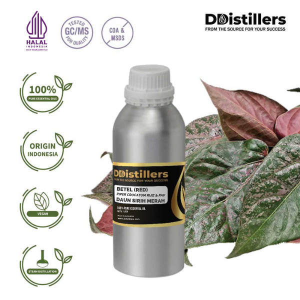 Betel (Red) / Sirih Merah Essential Oil Pure 100%, 500ML-1L HDPE/SS