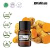 Turmeric / Kunyit Essential Oil Pure 100%, 2-10ML GS