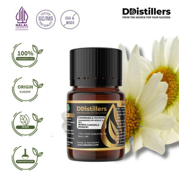 Chamomile (Roman) / Bunga Camomile Romawi Essential Oil Pure 100%, 2-10ML GS