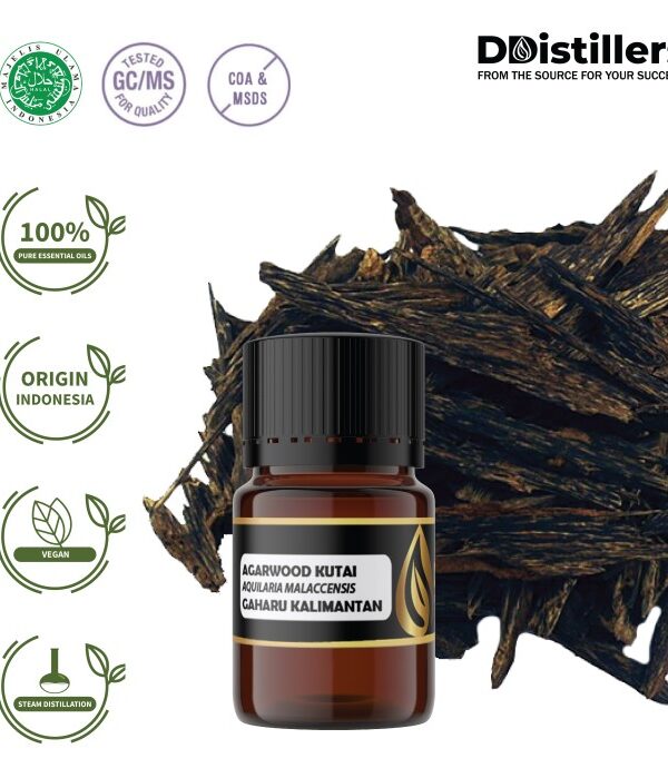 86e292059aa043b78cf948e298b678d0.jpg Agarwood Kutai / Gaharu Kalimantan Essential Oil Pure 100%, 3-12ML GS