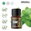 Peppermint (Cornmint) / Cornmint Essential Oil Pure 100%, 2-10ML GS