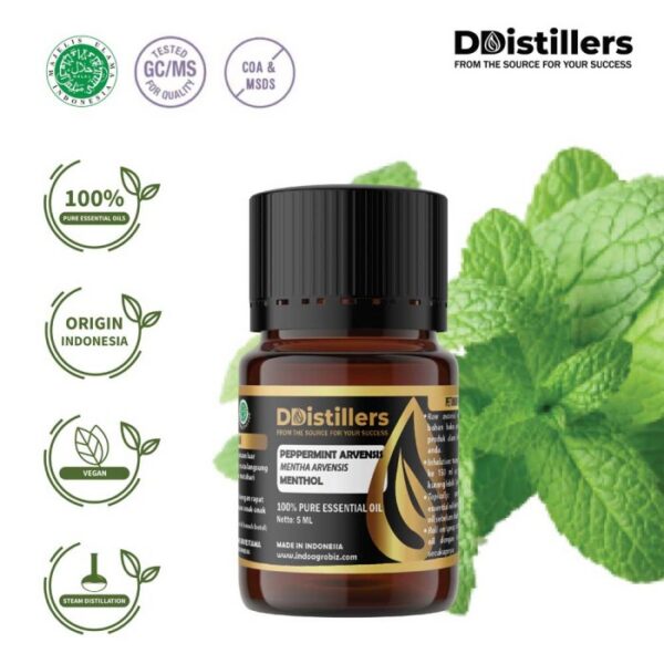 Peppermint (Cornmint) / Cornmint Essential Oil Pure 100%, 2-10ML GS