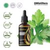 Coriander Leaf / Daun Ketumbar Essential Oil Pure 100%, 50-100ML GS