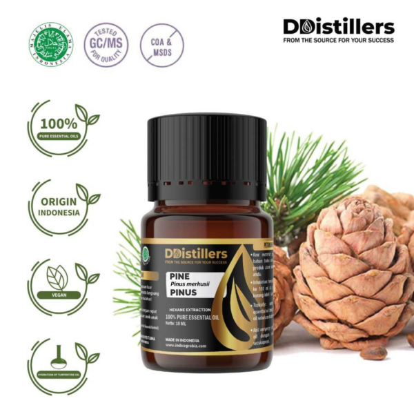 87bf92f4644a450b956b8a7bac09ec21.png Pine / Pinus Essential Oil Pure 100%, 2-10ML GS