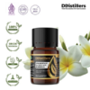 Frangipani / Kamboja Absolute Oil Pure 100%, 2-10ML GS