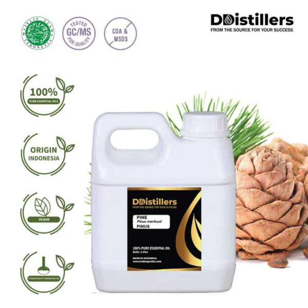 Pine / Pinus Essential Oil Pure 100%, 500ML-1L HDPE/SS