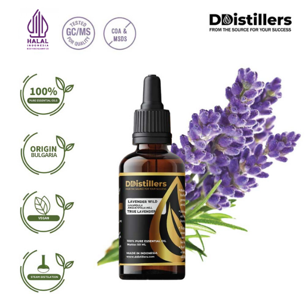 Lavender Wild / True Lavender Essential Oil Pure 100%, 50-100ML GS