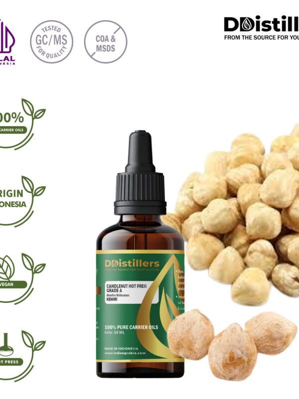 Candlenut / Kemiri Hot Press Grade A Carrier Oil Pure 100%, 50-100ML GS