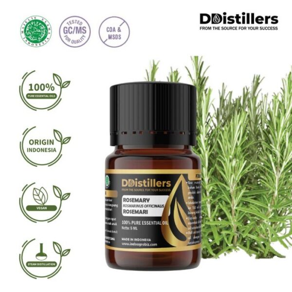 892f6d35e94b4c949ee935911180e106.jpg Rosemary / Rosemari Essential Oil Pure 100%, 2-10ML GS