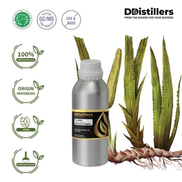 8a623adb1a8d4c77aecf86ffe152acd0.jpg Calamus / Sweet Flag / Jerangau / Dlingo Essential Oil Pure 100%, 500ML-1L HDPE/SS