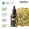Fennel / Adas Pedas Essential Oil Pure 100%, 50-100ML GS