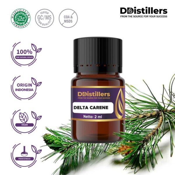 Delta Carene Natural Isolate Oil Pure 100%, 2ML GS