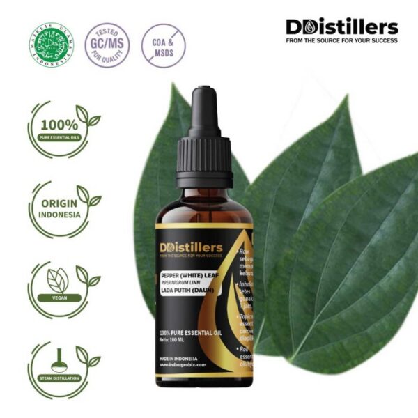 Pepper (White) Leaf / Daun Lada Putih Essential Oil Pure 100%, 50-100ML GS