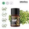 8ced96c3a54e422cb259f8c27bd9a116.jpg May Chang / Kilemo / Krangean Essential Oil Pure 100%, 2-10ML GS