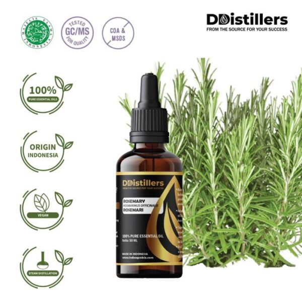 Rosemary / Rosemari Essential Oil Pure 100%, 50-100ML GS