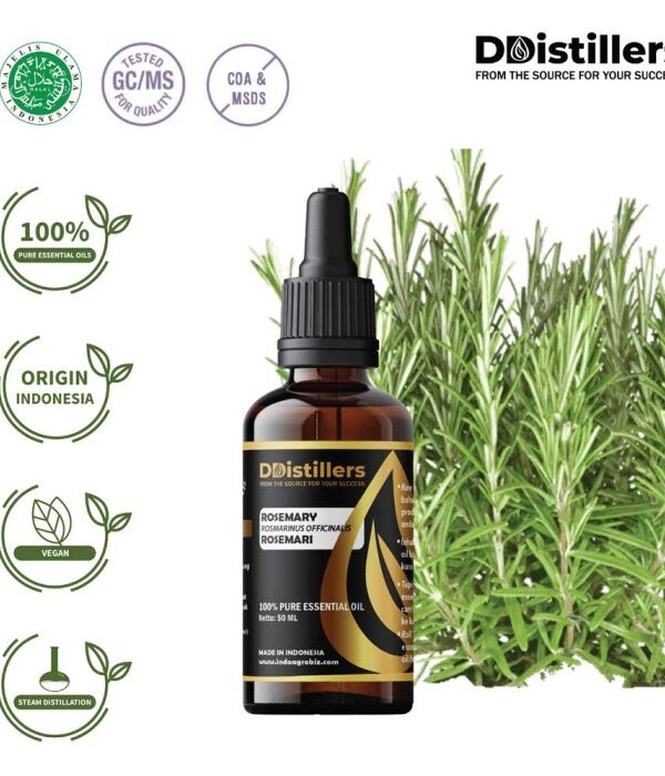 Rosemary / Rosemari Essential Oil Pure 100%, 50-100ML GS