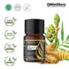 Plai / Bangle Essential Oil Pure 100%, 2-10ML GS
