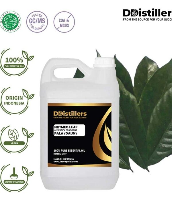 Nutmeg Leaf / Daun Pala Essential Oil Pure 100%, 2L HDPE