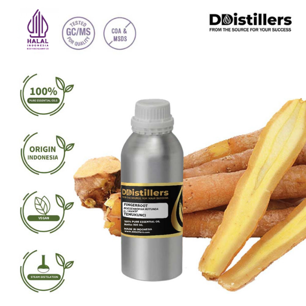 Fingerroot / Temukunci Essential Oil Pure 100%, 500ML-1L HDPE/SS