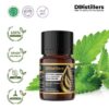 Patchouli (Sumatra) / Nilam (Sumatra) Essential Oil Pure 100%, 2-10ML GS