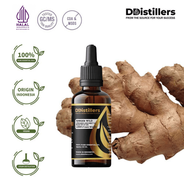 Ginger Wild / Lempuyang Wangi Essential Oil Pure 100%, 50-100ML GS
