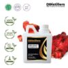 Ginger (Red SCFE) / Jahe Merah Essential Oil Pure 100%, 500ML-1L HDPE/SS