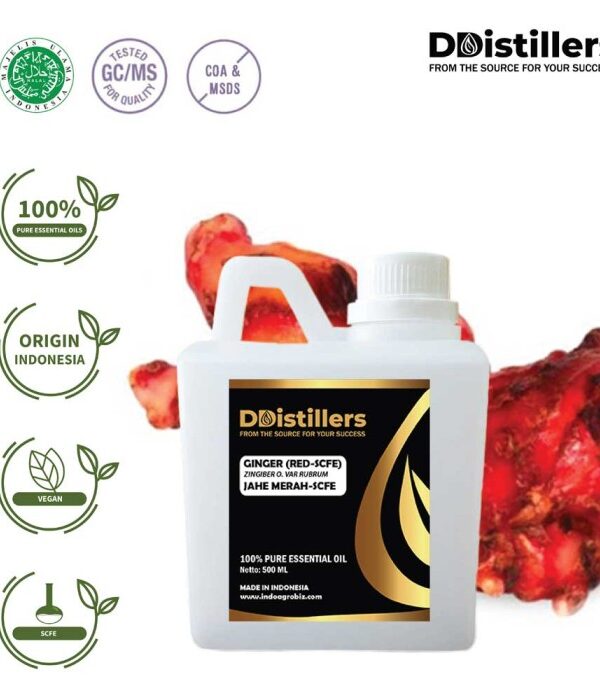 Ginger (Red SCFE) / Jahe Merah Essential Oil Pure 100%, 500ML-1L HDPE/SS