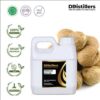 Nutmeg Seed / Biji Pala Essential Oil Pure 100%, 500ML-1L HDPE/SS