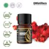 Ginger (Red SCFE) / Jahe Merah Essential Oil Pure 100%, 2-10ML GS