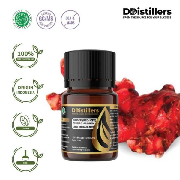 Ginger (Red SCFE) / Jahe Merah Essential Oil Pure 100%, 2-10ML GS