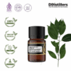 Cinnamon Leaf Korintje / Daun Kayu Manis Kerinci Essential Oil Pure 100%, 2-10ML GS