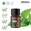 Patchouli (Sulawesi) / Nilam (Sulawesi) Essential Oil Pure 100%, 2-10ML GS
