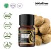 Nutmeg Seed / Biji Pala Essential Oil Pure 100%, 2-10ML GS