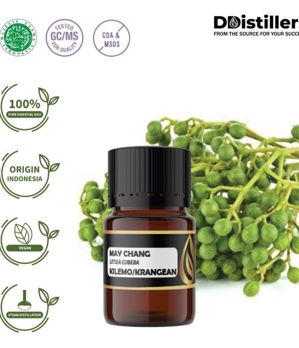 May Chang / Kilemo / Krangean Essential Oil Pure 100%, 2-10ML GS