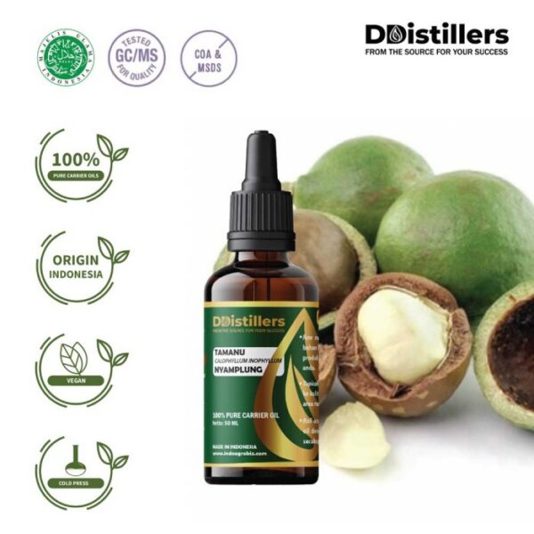 Tamanu / Nyamplung Carrier Oil Pure 100%, 50-100ML GS