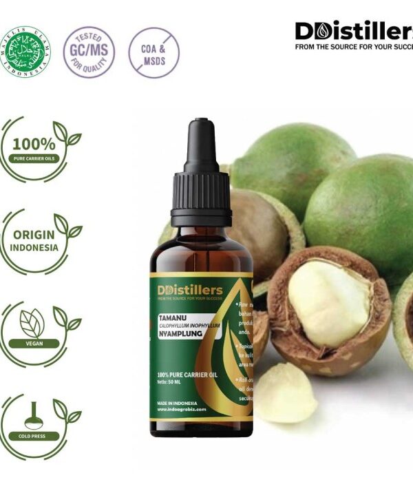 Tamanu / Nyamplung Carrier Oil Pure 100%, 50-100ML GS