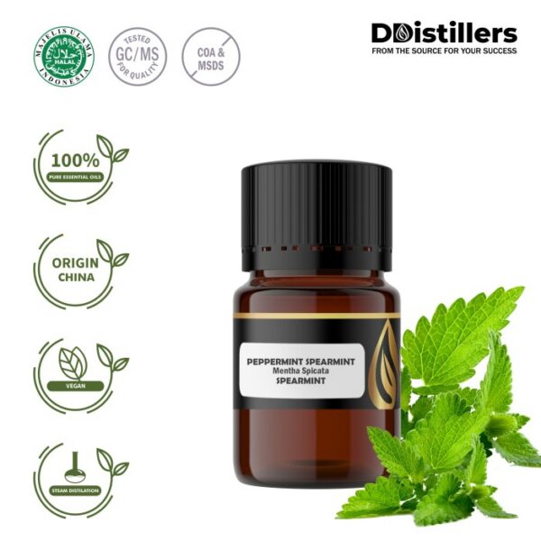 Peppermint (Spearmint) / Spearmint Essential Oil Pure 100%, 2-10ML GS