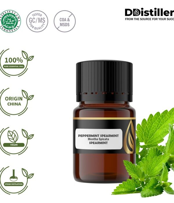Peppermint (Spearmint) / Spearmint Essential Oil Pure 100%, 2-10ML GS