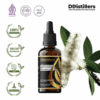 Cajuput (Sumatra) / Kayu Putih Aceh Essential Oil Pure 100%, 50-100ML GS