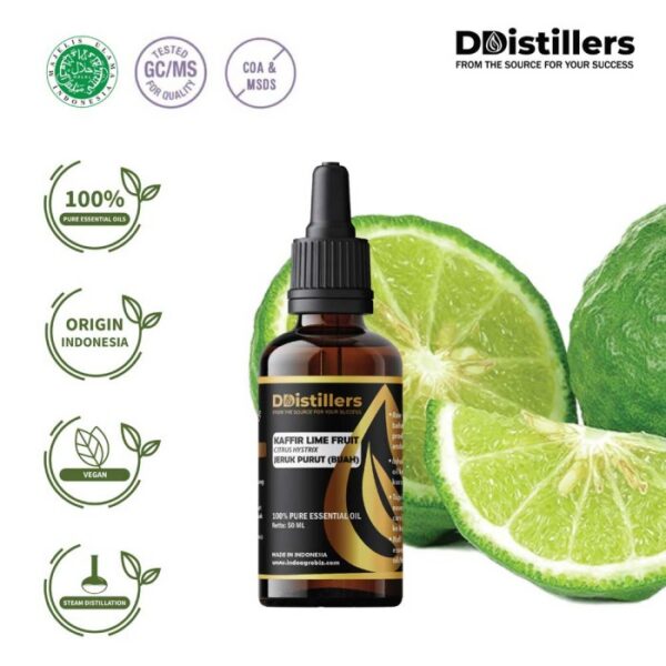 Kaffir Lime Fruit / Buah Jeruk Purut Essential Oil Pure 100%, 50-100ML GS