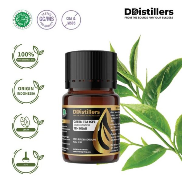 Green Tea SCFE / Teh Hijau Essential Oil Pure 100%, 2-10ML GS