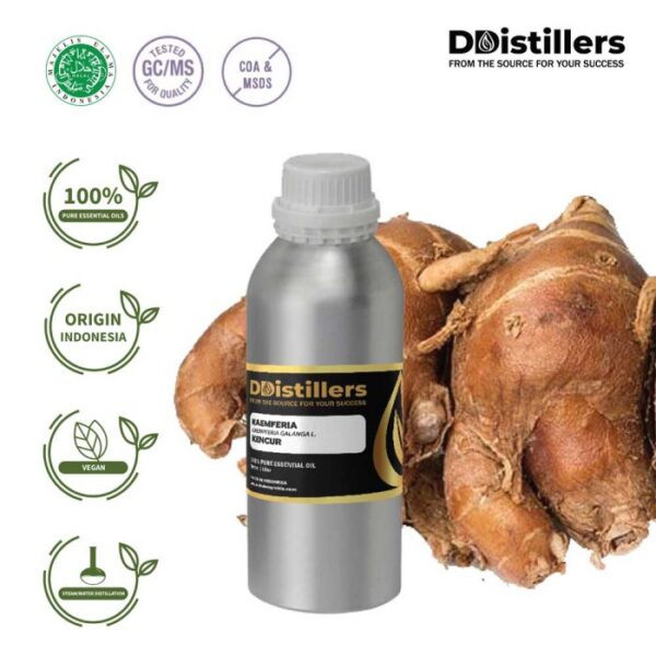 Kaempferia / Aromatic Ginger / Kencur Essential Oil Pure 100%, 500ML-1L HDPE/SS