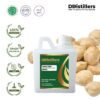 Candlenut / Kemiri Carrier Oil Pure 100%, 500ML-1L HDPE