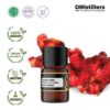 9b542ad935be4de09115dca7553c55c7-2.jpg Ginger (Red) / Jahe Merah Essential Oil Pure 100%, 2-10ML GS