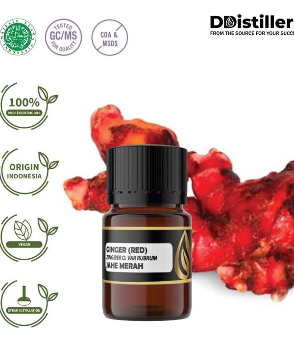 Ginger (Red) / Jahe Merah Essential Oil Pure 100%, 2-10ML GS