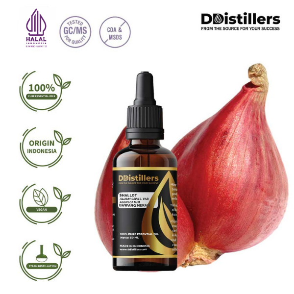 Shallot-EO / Bawang Merah Essential Oil Pure 100%, 50-100ML GS
