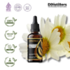 Chamomile (Roman) / Bunga Camomile Romawi Essential Oil Pure 100%, 50-100ML GS