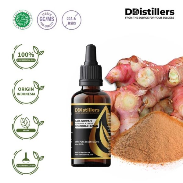 9c59f76ae3eb40d796cfc92b336039e8.jpg Lajagowah / Lengkuas Hutan Essential Oil Pure 100%, 50-100ML GS