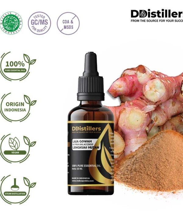 9c59f76ae3eb40d796cfc92b336039e8.jpg Lajagowah / Lengkuas Hutan Essential Oil Pure 100%, 50-100ML GS